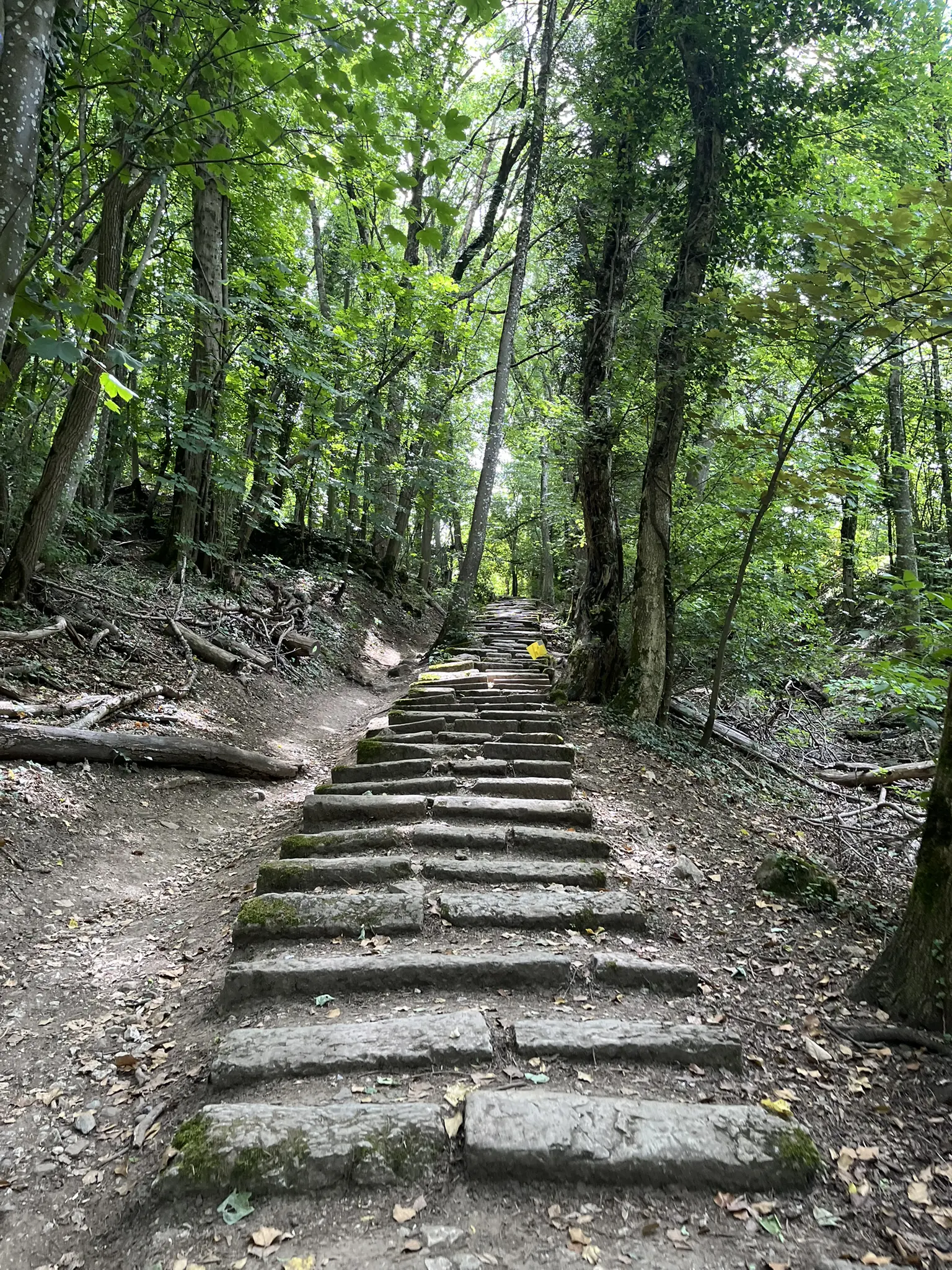 Les escaliers du Salève